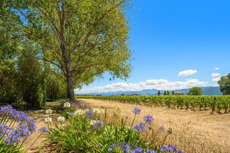 Photo of property in 115 Matthews Lane, Rapaura, Blenheim, 7273