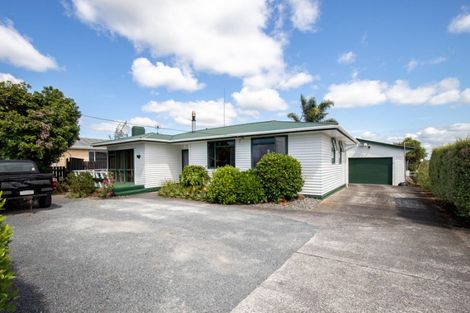 Photo of property in 28 Orchard East Road, Ngatea, 3503