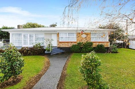 Photo of property in 19 Wilson Place, Papakura, 2110