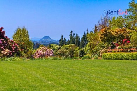 Photo of property in 497e Joyce Road, Pyes Pa, Tauranga, 3173