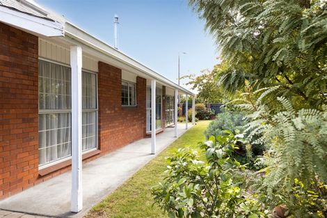 Photo of property in 101a Maxwell Road, Blenheim, 7201