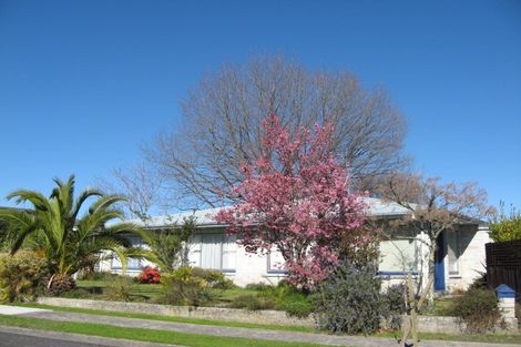 Photo of property in 14 Exmoor Street, Havelock North, 4130