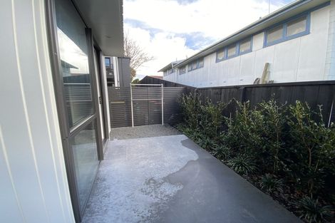 Photo of property in 2/14 Abbotsford Street, Whitiora, Hamilton, 3200