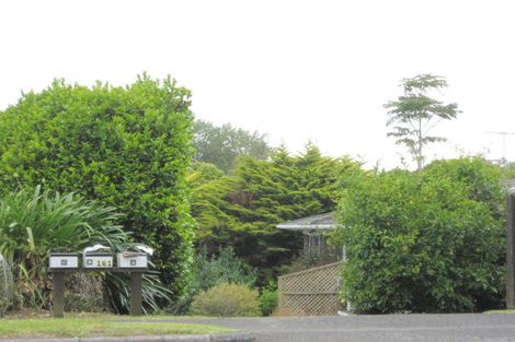 Photo of property in 161c Edinburgh Street, Pukekohe, 2120