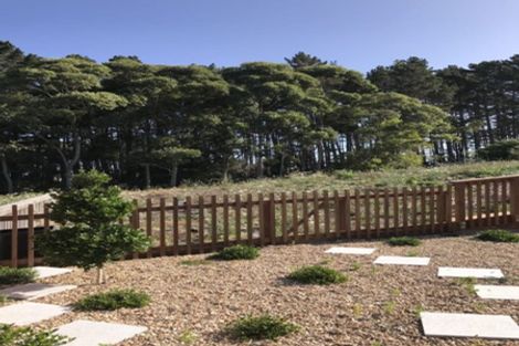 Photo of property in 249a Lonely Track Road, Albany Heights, Auckland, 0632