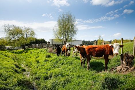 Photo of property in 39 Serenity Lane, Koputaroa, Levin, 5571