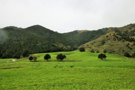 Photo of property in 1008 Tangowahine Valley Road, Tangowahine, Dargaville, 0372