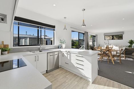 Photo of property in 14a Vine Avenue, Maungatapu, Tauranga, 3112