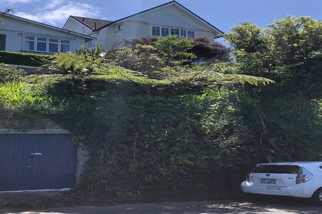 Photo of property in 2 Plunket Street, Kelburn, Wellington, 6012