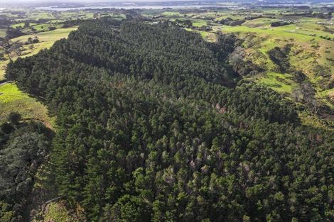 Photo of property in 2 Awhitu Road, Waiuku, 2683