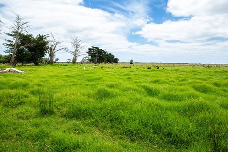 Photo of property in 401 Kumi Road, Awanui, 0486