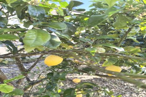 Photo of property in 67 Worsnop Road, Ruatangata West, Whangarei, 0176