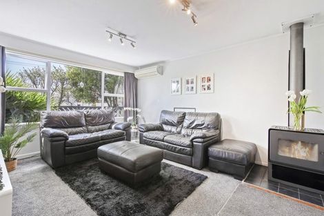 Photo of property in 117 Joy Street, Shirley, Christchurch, 8061