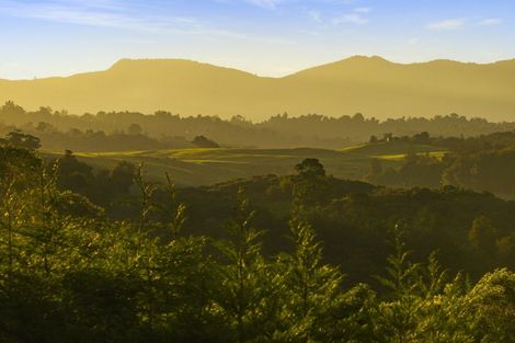 Photo of property in 236a Tim Road, Whakamarama, Tauranga, 3180