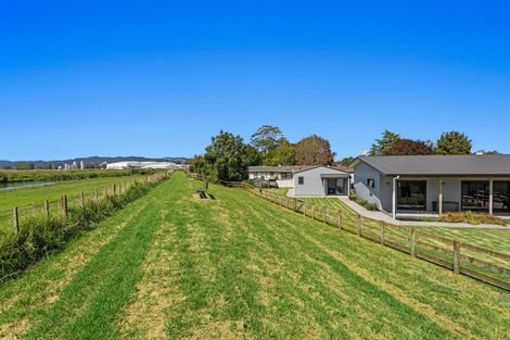 Photo of property in 6 Olive Grove, Edgecumbe, 3120