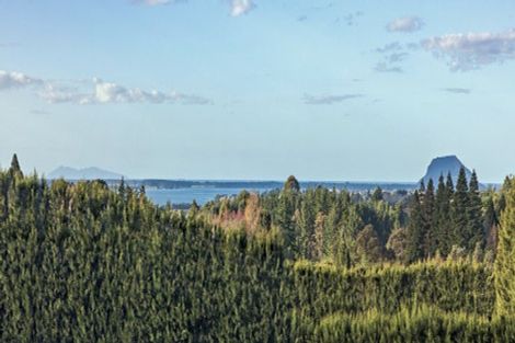 Photo of property in 38 Vernon Road, Minden, Tauranga, 3171