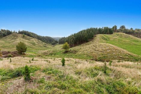 Photo of property in 31 Tarver Lane, Pikowai, Whakatane, 3194