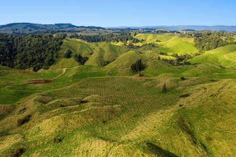 Photo of property in 31 Tarver Lane, Pikowai, Whakatane, 3194