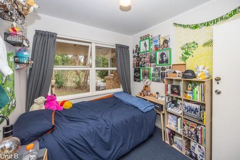 Photo of property in 103 Aurora Terrace, Hillcrest, Hamilton, 3216