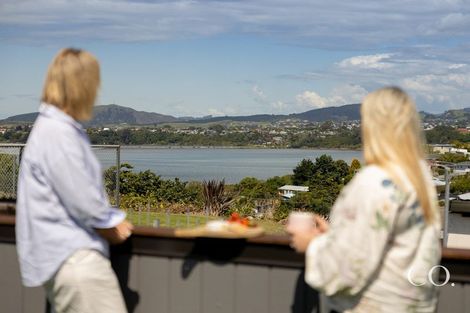 Photo of property in 64 Twentysecond Avenue, Gate Pa, Tauranga, 3112