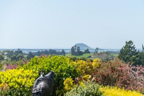 Photo of property in 233 Waipapa Block Road, Whakamarama, Tauranga, 3180