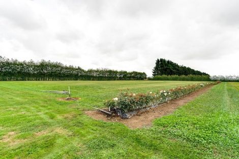 Photo of property in 1142 Ashcott Road, Ashley Clinton, Takapau, 4286