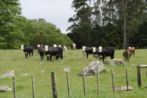 Photo of property in 170 Pigs Head Road, Whakapara, Hikurangi, 0184
