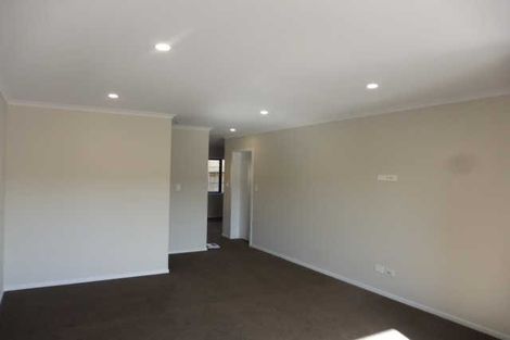 Photo of property in 53 Tennille Street, Flagstaff, Hamilton, 3210