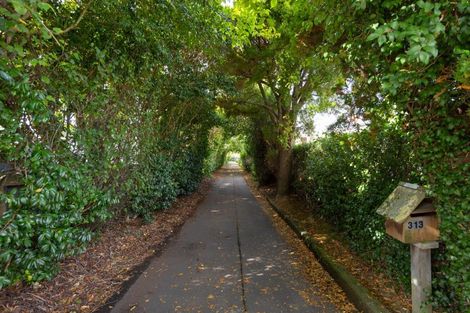 Photo of property in 313 Albert Street, Hokowhitu, Palmerston North, 4410