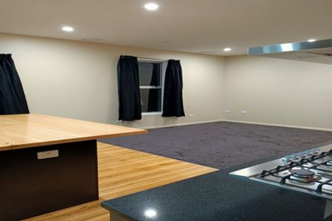 Photo of property in 12 Birchfield Avenue, North East Valley, Dunedin, 9010