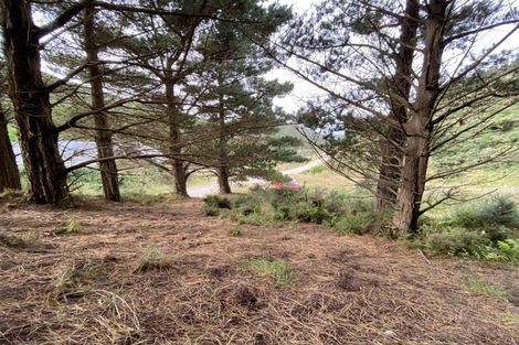 Photo of property in Long Gully Farm, 391 Southernthread Road, Brooklyn, Wellington, 6021