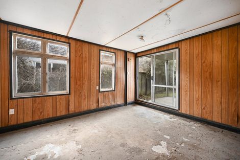 Photo of property in 119 Galloway Street, Hamilton East, Hamilton, 3216