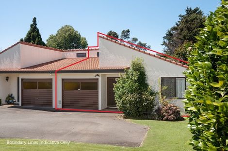 Photo of property in 87 Twelfth Avenue, Tauranga South, Tauranga, 3112