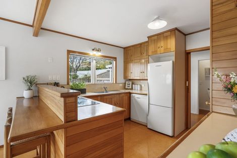 Photo of property in 12 Alton Avenue, Hillcrest, Auckland, 0627