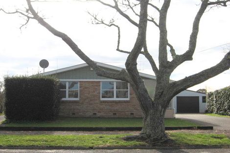 Photo of property in 19 Springfield Crescent, Enderley, Hamilton, 3214