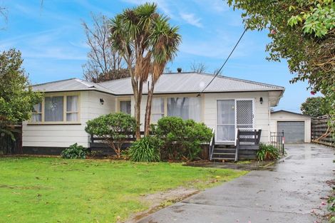 Photo of property in 155 Salisbury Street, Ashhurst, 4810