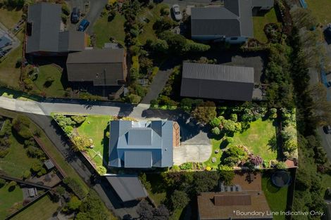 Photo of property in 113 Easther Crescent, Kew, Dunedin, 9012