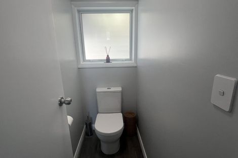 Photo of property in 120 Limbrick Street, Terrace End, Palmerston North, 4410