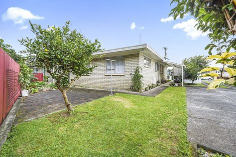 Photo of property in 49 Rimu Street, Maeroa, Hamilton, 3200