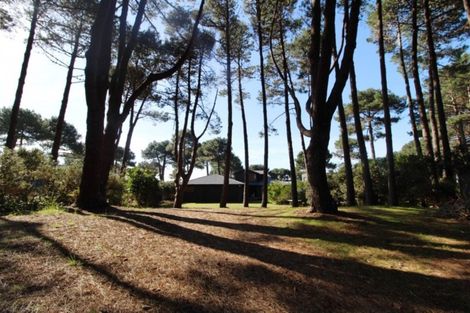 Photo of property in 800 Matarangi Drive, Matarangi, Whitianga, 3592