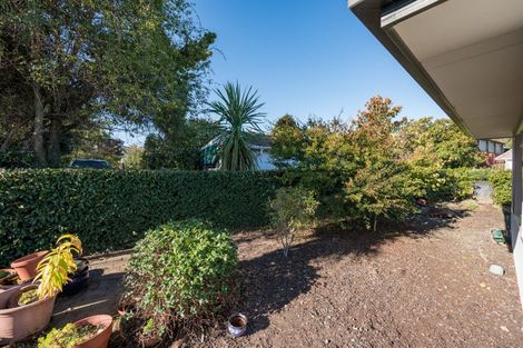 Photo of property in 11a Wensley Road, Richmond, 7020