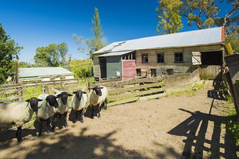 Photo of property in 1574 Kanakanaia Road, Whatatutu, Te Karaka, 4091