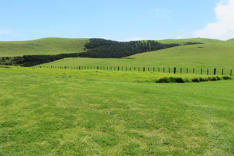 Photo of property in Pipi Place, Baylys Beach, 0377