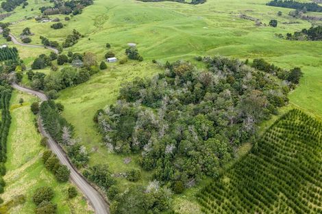Photo of property in 757 Opanake Road, Mamaranui, Dargaville, 0372