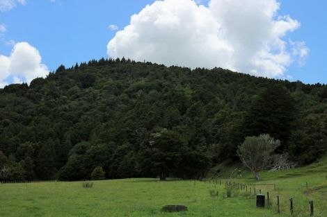 Photo of property in 1008 Tangowahine Valley Road, Tangowahine, Dargaville, 0372