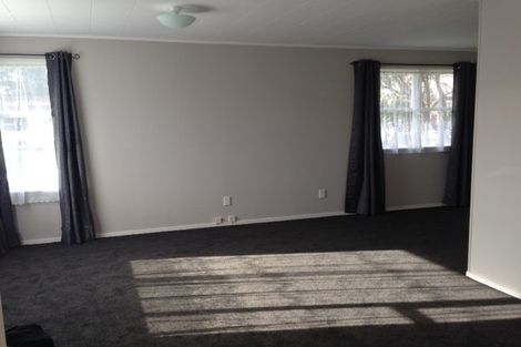 Photo of property in 46 Aarts Avenue, Manurewa, Auckland, 2102