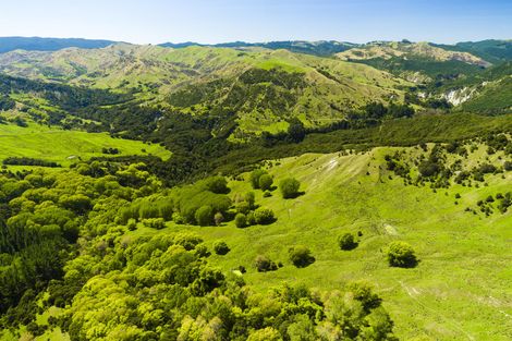 Photo of property in 1574 Kanakanaia Road, Whatatutu, Te Karaka, 4091