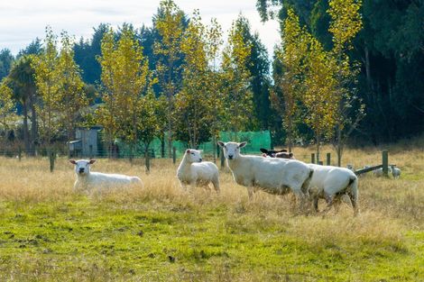 Photo of property in 330 Sinclair Road, Te Anau, 9679