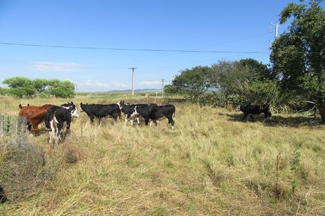 Photo of property in 53 Morven Beach Road, Morven, Waimate, 7980