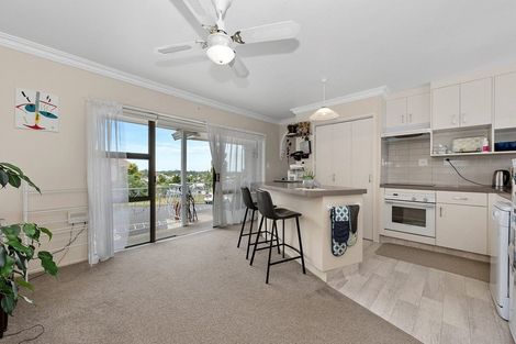 Photo of property in 19 Ridout Street, Maeroa, Hamilton, 3200